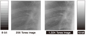 10-Bit Simultaneous Grayscale Display